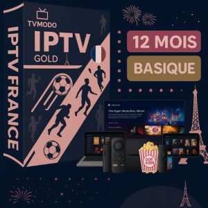 abonnement iptv 12 mois​